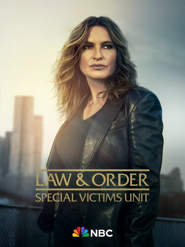 Закон и порядок. Специальный корпус 27 сезон 17 серия [Смотреть Онлайн]